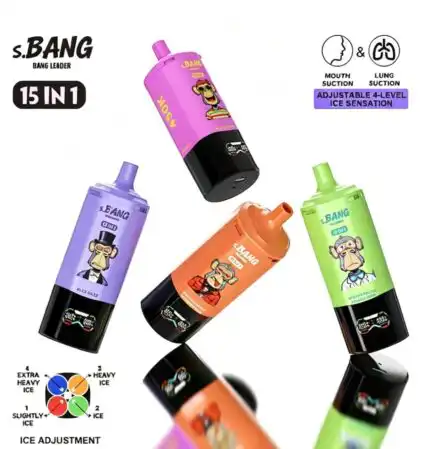 Bang Leader 450K puffs 15-in-1 wegwerp vape in retailverpakking
