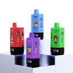 Bang Leader 300K Puffs 6 in 1 Vape | 65ml E-Liquid, 0%/2%/5% Nicotine, 12 Flavors, 650mAh Type-C Rechargeable | Wholesale Available Stoll 300000 puff