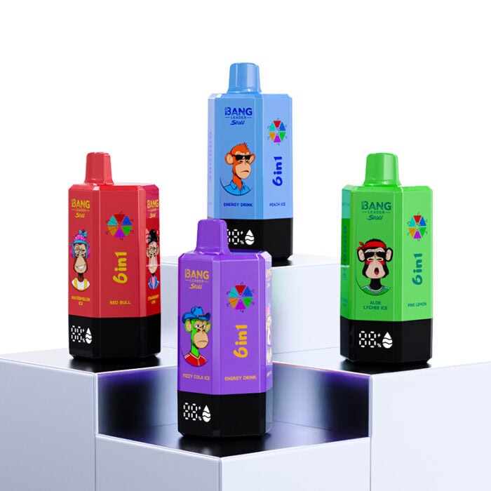 Bang Leader 300K Puffs 6 in 1 Vape | 65ml E-Liquid, 0%/2%/5% Nicotine, 12 Flavors, 650mAh Type-C Rechargeable | Wholesale Available Stoll 300000 puff