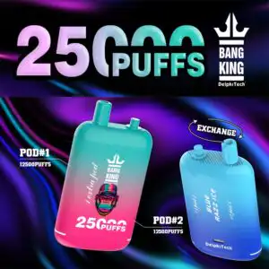 Bang King 25000 bouffées 0% 2% 3% 5% Nicotine Double Warehouser Capsule de vape jetable
