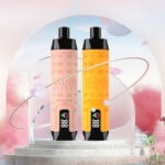 ELF BOX 16K Disposable Vape - 16000 Puffs, Leather Design, Nicotine Shisha Flavor