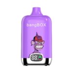 Bang Box 15000 Puff Disposable Vape - Wholesale