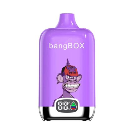 Bang Box 15000 Puff Disposable Vape - Wholesale