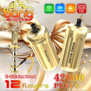 Bang E-Shisha Head 42000 42K Puffs Gold LED Display Disposable Vape