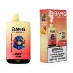 Bang Leader 45k 45000 Puffs Vape | Dual Tank Rechargeable Disposable Vape