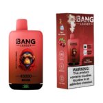 Bang Leader 45k 45000 Puffs Vape | Dual Tank Rechargeable Disposable Vape