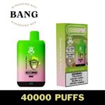 Bang Kingdoms Rex 40k PUFF VAPE Store 50ml vape disposable prefilled e-cigarette high puffs vape