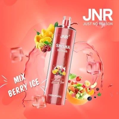 Hot-Sale-Original-Brand-Jnr-Shisha-Hookah-12000-Puffs-Disposable-Vape-Pen-20-Flavors-Rechargeable-Electronic-Cigarette-6.jpeg Jnr Shisha Bazar Vape