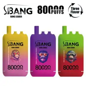 Puff 80k Bang Leader 80000 Puffs Disposable Vape - 3 in 1 Flavors Device, 42mL Prefilled, Rechargeable Battery