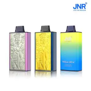 JNR Mega Box 25000 Puffs | Dual Mesh Coil | Rechargeable Vape