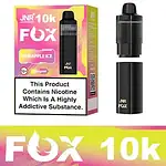 Puff JNR Fox 10000 Puffs Disposable Vape Device | 10K Puffs