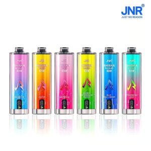 JNR Shisha Max 22k Disposable Vape - 22000 Puffs Rechargeable