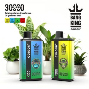 Bang 30000 Puffs 36mL Disposable Vape | 0-5% Nicotine | Mesh Coil, Adjustable Airflow 36k puff vape