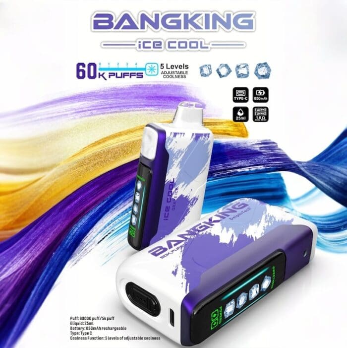 Bang King Ice Cool 60000 Puffs 60k Disposable Vape - 5 Adjustable Coolness Levels LED Screen