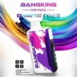 Bang King Ice Cool 60000 Puffs 60k Disposable Vape - 5 Adjustable Coolness Levels LED Screen