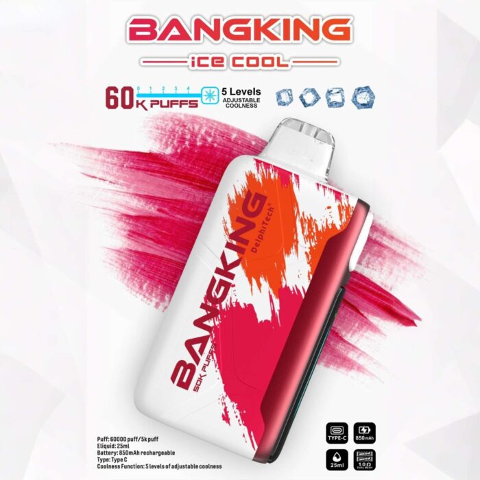Bang King Ice Cool 60000 Puffs 60k Disposable Vape - 5 Adjustable Coolness Levels LED Screen