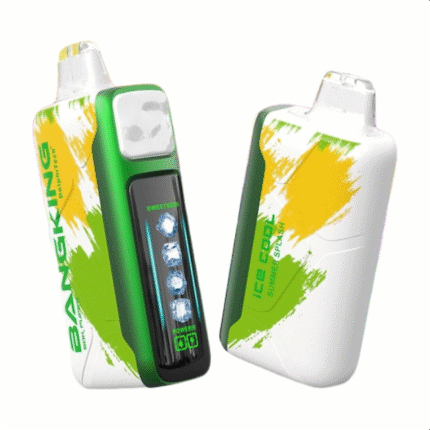 Bang King Ice Cool 60000 Puffs 60k Disposable Vape - 5 Adjustable Coolness Levels LED Screen
