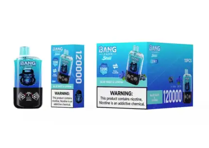 Bang Leader Stoll 120K Puffs 120000 | 13400mAh Battery | 2-in-1 Flavors Disposable Vape