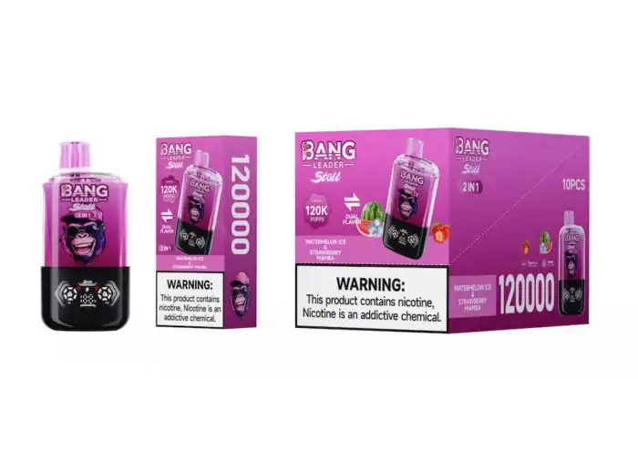 Bang Leader Stoll 120K Puffs 120000 | 13400mAh Battery | 2-in-1 Flavors Disposable Vape