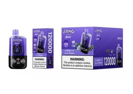 Bang Leader Stoll 120K Puffs 120000 | 13400mAh Battery | 2-in-1 Flavors Disposable Vape