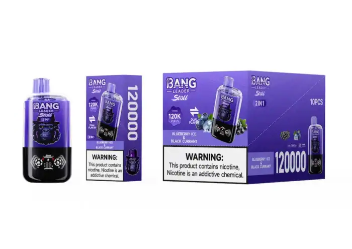 Bang Leader Stoll 120K Puffs 120000 | 13400mAh Battery | 2-in-1 Flavors Disposable Vape