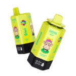 Bang Leader 300K Puffs 6 in 1 Vape | 65ml E-Liquid, 0%/2%/5% Nicotine, 12 Flavors, 650mAh Type-C Rechargeable | Wholesale Available Stoll 300000 puff