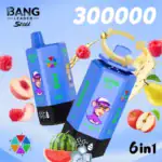 Bang Leader 300K Puffs 6 in 1 Vape | 65ml E-Liquid, 0%/2%/5% Nicotine, 12 Flavors, 650mAh Type-C Rechargeable | Wholesale Available Stoll 300000 puff