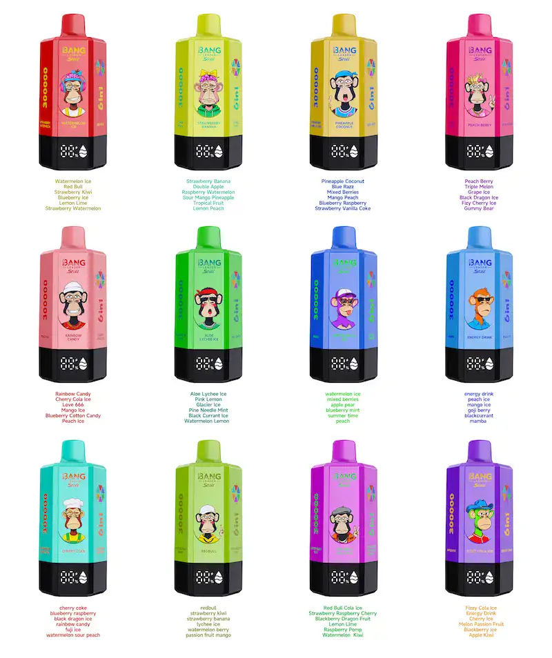 Bang Leader 300K Puffs 6 in 1 Vape flavor Bang Leader 300K Puffs 6 in 1 Vape | 65ml E-Liquid, 0%/2%/5% Nicotine, 12 Flavors, 650mAh Type-C Rechargeable | Wholesale Available Stoll 300000 puff