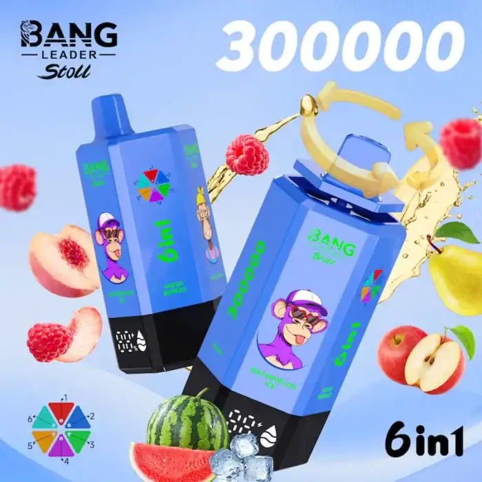 Bang Leader 300K Puffs 6 in 1 Vape | 65ml E-Liquid, 0%/2%/5% Nicotine, 12 Flavors, 650mAh Type-C Rechargeable | Wholesale Available Stoll 300000 puff