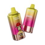WASPE 4 in 1 100K rechargeable vape with 650mAh Type-C port