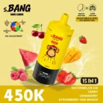 Hand holding Bang Leader 450K disposable vape showing actual size and ergonomics