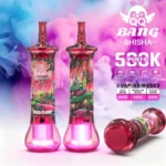 0.5Ω dual mesh coil internal structure of QQ Bang Shisha 500K for DTL vapor