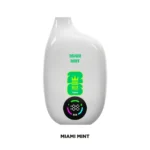 1.0Ω mesh coil internal system of Bang 60000 disposable vape