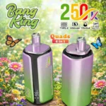 Bang King 250k Puffs Disposable Vape | 4-in-1 Quads & 60ml E-Liquid