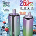 Bang King 250k Puffs Disposable Vape | 4-in-1 Quads & 60ml E-Liquid