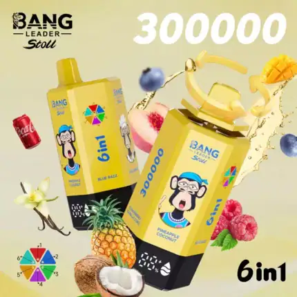 Bang Leader 300K Puffs 6 in 1 Vape | 65ml E-Liquid, 0%/2%/5% Nicotine, 12 Flavors, 650mAh Type-C Rechargeable | Wholesale Available Stoll 300000 puff