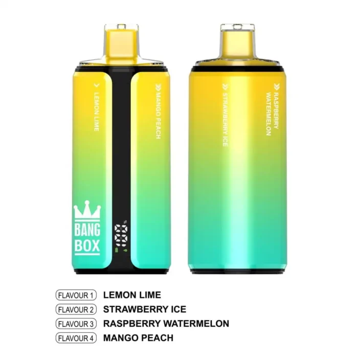 Wholesale BANG BOX 160K Puffs Disposable Vape - 20mL x 4 Mesh Coils, 650mAh Rechargeable Battery, 10 Flavors