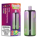 Bang King 250k Puffs Disposable Vape | 4-in-1 Quads & 60ml E-Liquid