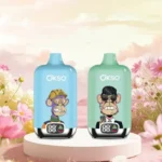 Rechargeable Okso 12000 puffs vape with Type-C port