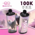 qq bang 100000 puffs disposable vape in retail packaging box
